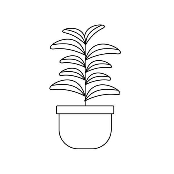 Изолированное растение с дизайном листьев — стоковый вектор