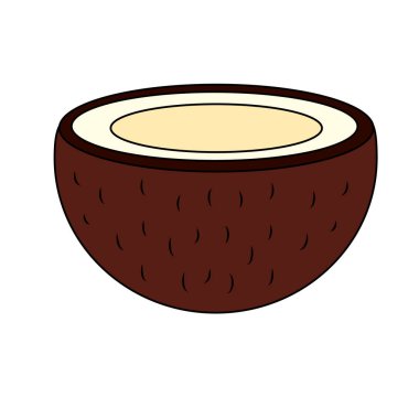 İzole hindistan cevizi meyve vektör tasarımı