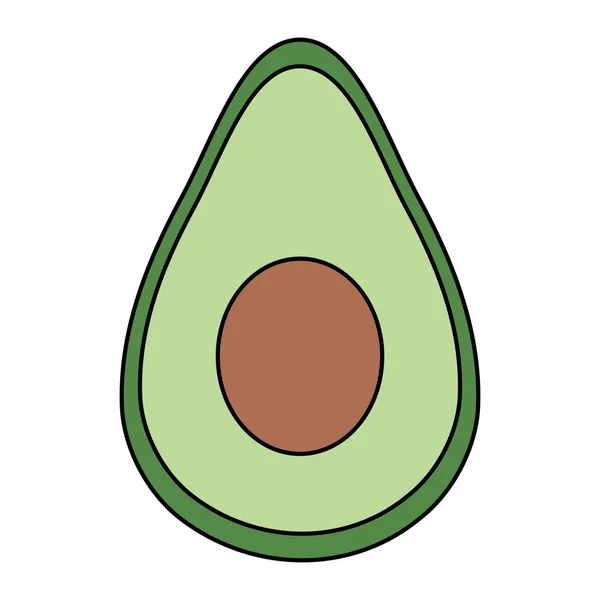 Isoliertes Avocadofruchtvektordesign — Stockvektor