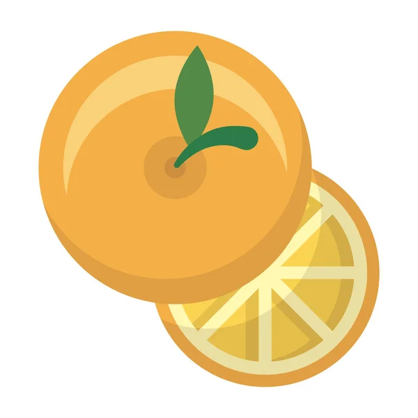 Desenho isolado de vetor de fruta laranja — Vetor de Stock