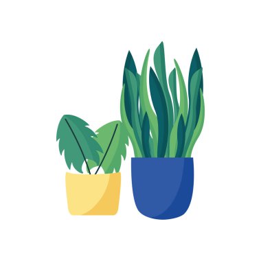 Tencere vektör tasarımının içindeki izole bitkiler