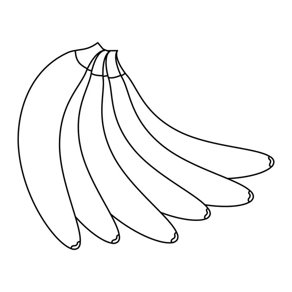 Isoliertes Bananenfruchtvektordesign — Stockvektor