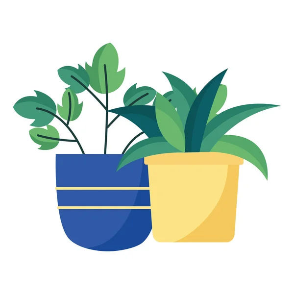 Plantas aisladas dentro de macetas diseño vectorial — Vector de stock