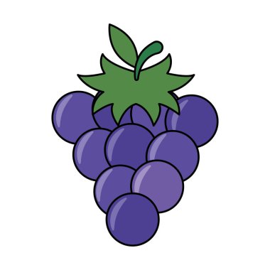 İzole üzüm meyve vektör tasarımı