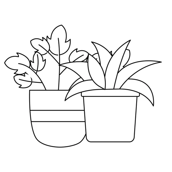 Isolated plants inside pots vector design — Stock Vector
