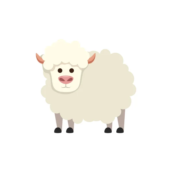 Pequena fazenda animal de ovelha bonito — Vetor de Stock