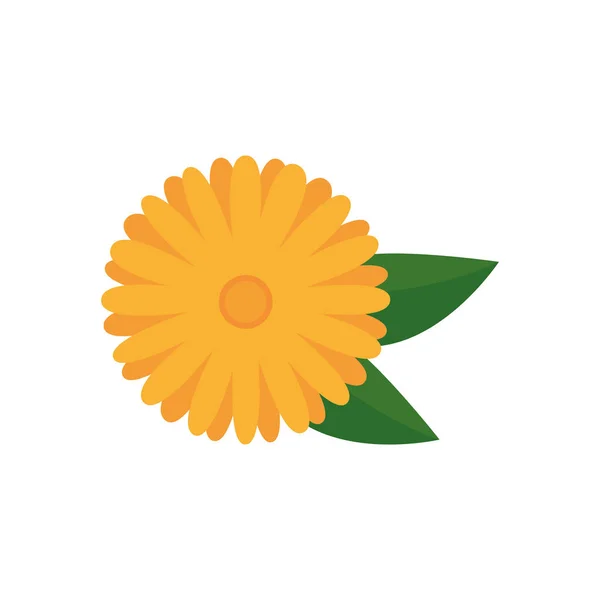 Schöne Blume mit Blättern Garten dekorative Symbol — Stockvektor