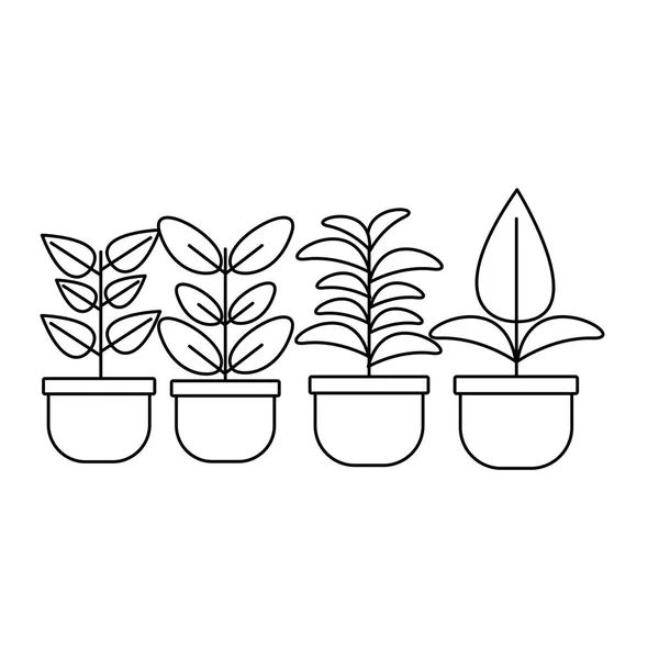 Isolierte Pflanzen mit Blätterdesign — Stockvektor