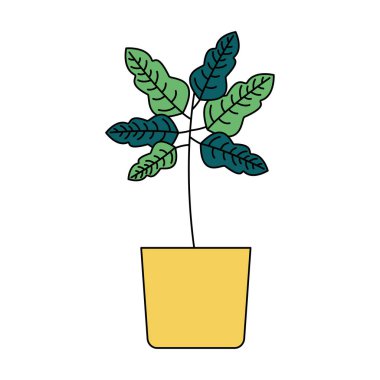 Ot vektör tasarımı içinde izole edilmiş bitki