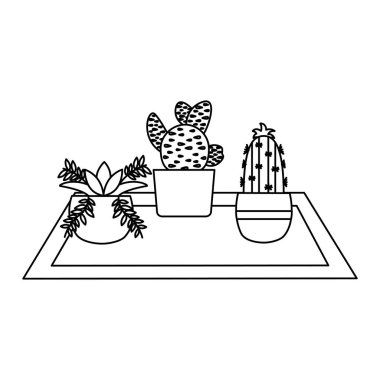 Tencere vektör tasarımının içindeki izole bitkiler