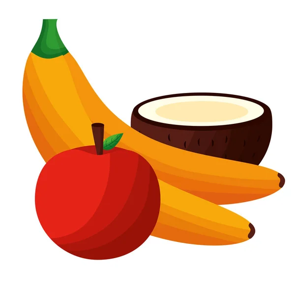 Banaan appel en kokos fruit vector ontwerp — Stockvector