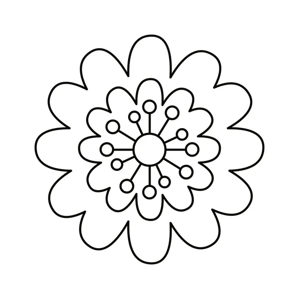 İzole çiçek süs tasarımı — Stok Vektör