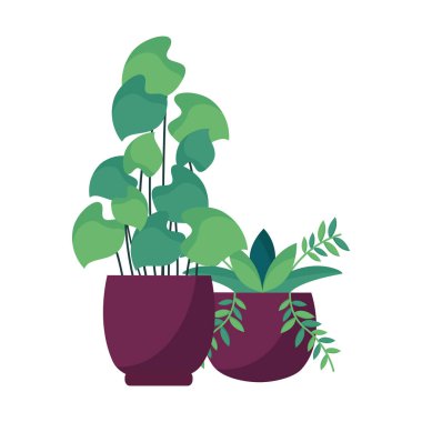 Tencere vektör tasarımının içindeki izole bitkiler