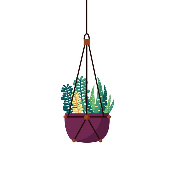 Opknoping plant binnen pot vector ontwerp — Stockvector