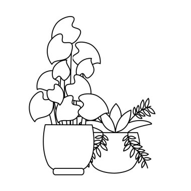 Tencere vektör tasarımının içindeki izole bitkiler