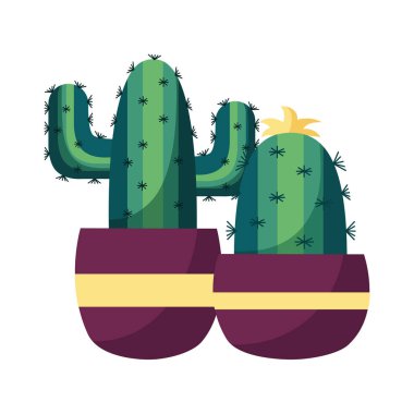 Tencere içinde izole kaktüs vektör tasarımı