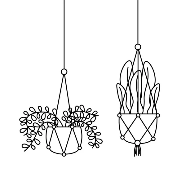 Plantes suspendues à l'intérieur des pots conception vectorielle — Image vectorielle