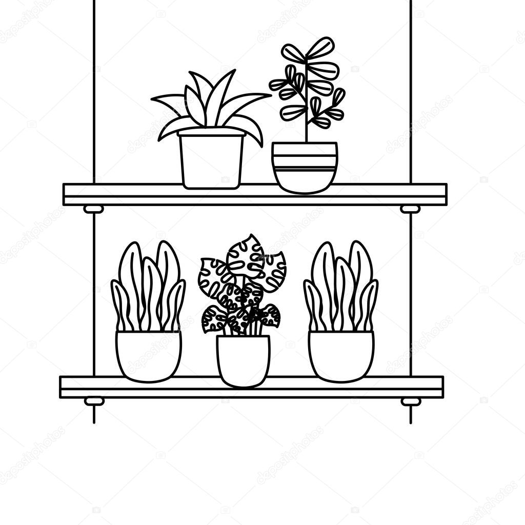 Hanging plants inside pots vector design