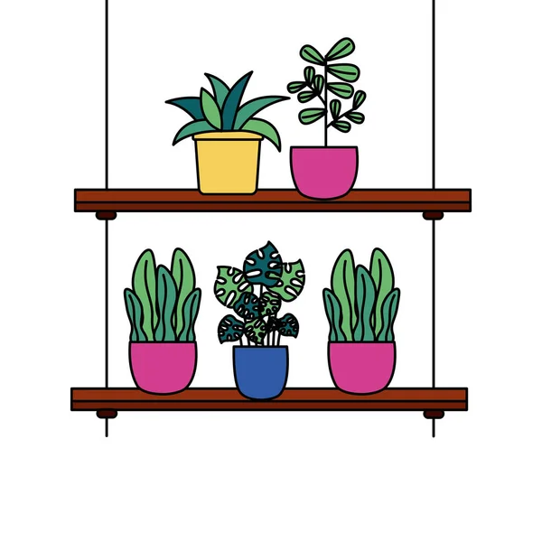 Plantas colgantes dentro de macetas diseño vectorial — Vector de stock