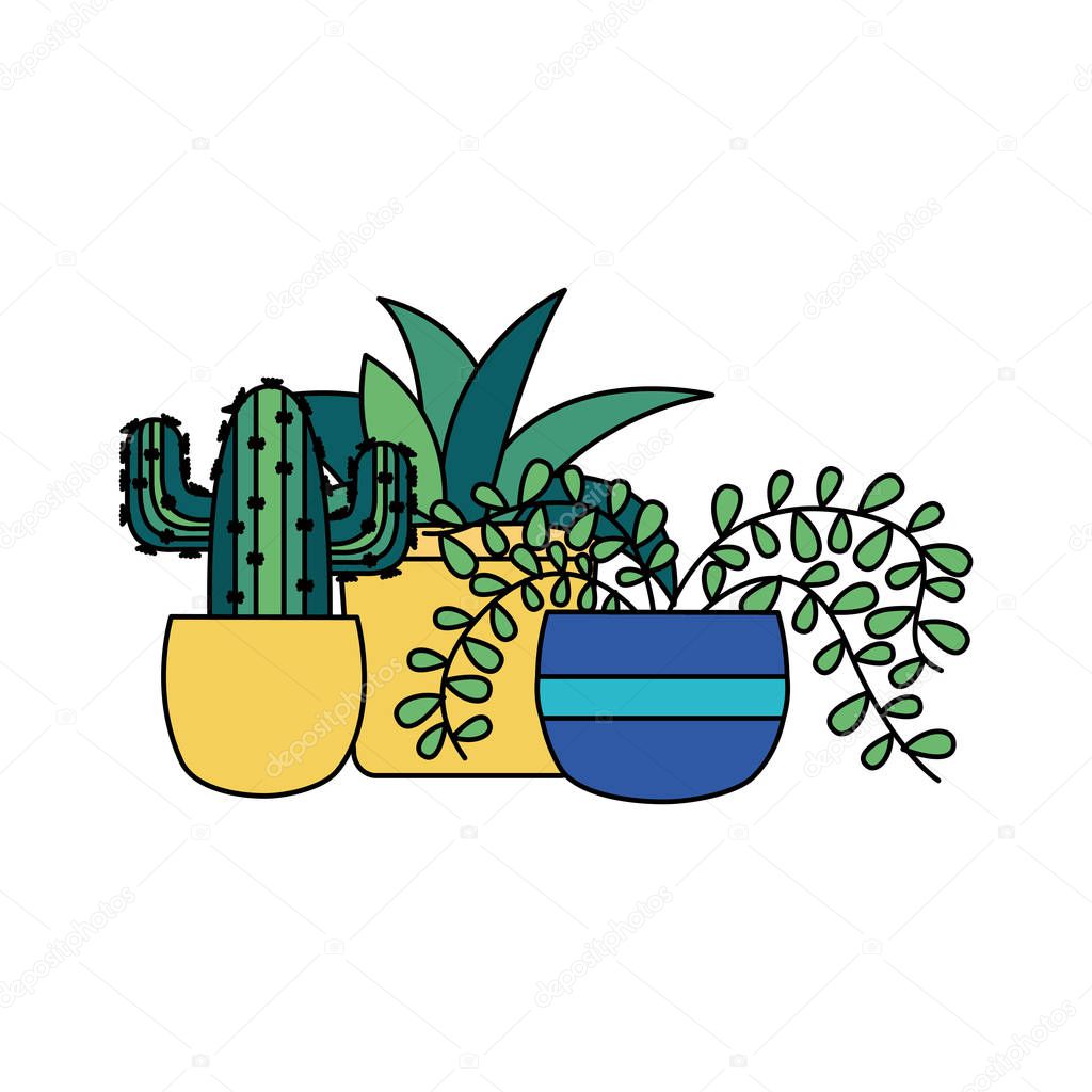 Isolated plants inside pots vector design