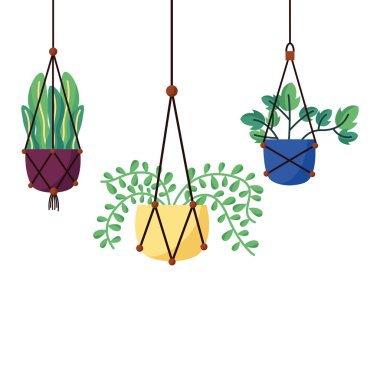 Tencere vektör tasarımı içinde asılı bitkiler