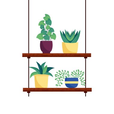 Tencere vektör tasarımının içindeki izole bitkiler