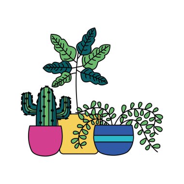 Tencere vektör tasarımının içindeki izole bitkiler