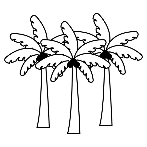Palmové stromy v letní sezóně — Stockový vektor