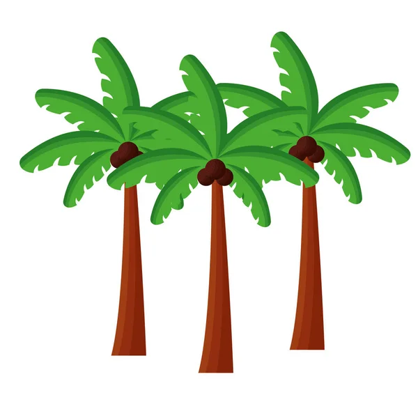 Palmeras de diseño de temporada de verano — Vector de stock