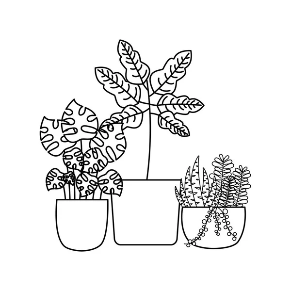 Tencere vektör tasarımının içindeki izole bitkiler