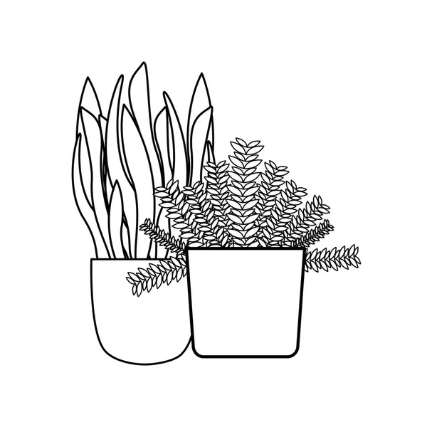 Isolated plants inside pots vector design — Stock Vector