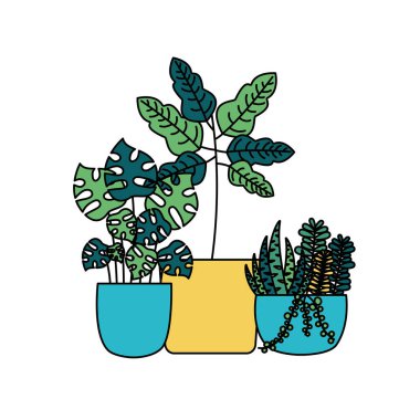 Tencere vektör tasarımının içindeki izole bitkiler