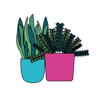 Tencere vektör tasarımının içindeki izole bitkiler