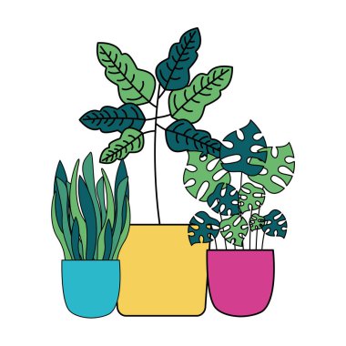 Tencere vektör tasarımının içindeki izole bitkiler