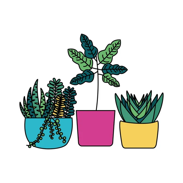 Tencere vektör tasarımının içindeki izole bitkiler