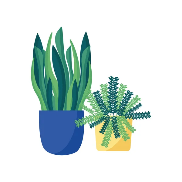 Eristetyt kasvit ruukkujen sisällä vektorisuunnittelu — vektorikuva