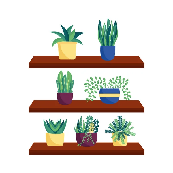 Pflanzen und Möbelvektordesign — Stockvektor