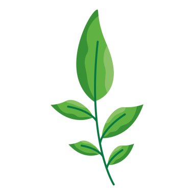 İzole edilmiş yaprak vektör tasarımı