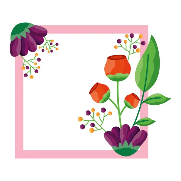 İzole çiçekler çerçeve vektör tasarımı — Stok Vektör