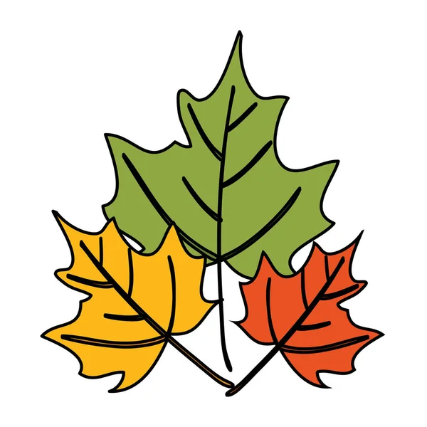秋の乾燥したカエデの葉の自然の装飾 — ストックベクタ