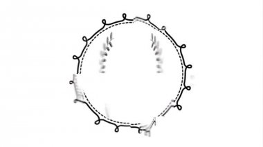 zarif dairesel çerçeve video animasyon