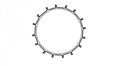 zarif dairesel çerçeve video animasyon