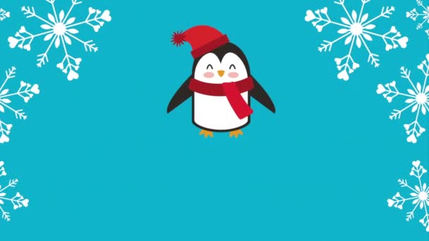 Happy Merry Christmas Card met kleine pinguïn — Stockvideo