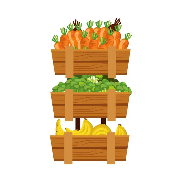 一组新鲜水果和蔬菜在木架 — 图库矢量图片