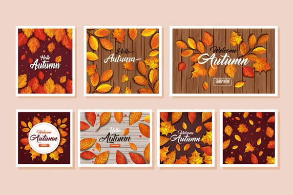 Ensemble de motifs d'automne avec décoration de feuilles — Image vectorielle