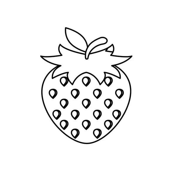 Diseño aislado de vectores de fruta de fresa — Vector de stock