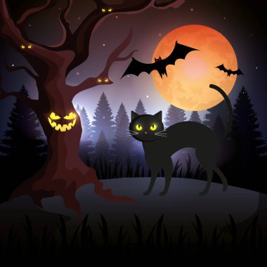 karanlık gece cadılar bayramı sahnesinde kedi