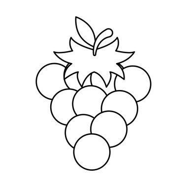 İzole üzüm meyve vektör tasarımı
