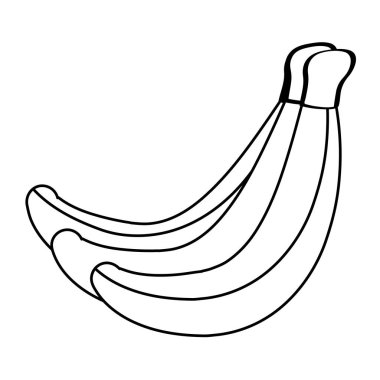 İzole muz meyve vektör tasarımı