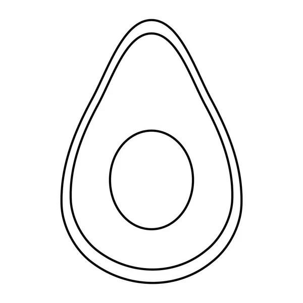 İzole edilmiş avokado meyve vektör tasarımı — Stok Vektör